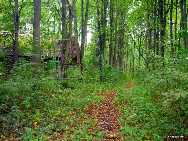 Пионерский лагерь ОГОНЁК,  Московская область