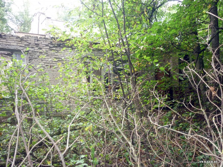 Пионерский лагерь ОГОНЁК,  Московская область