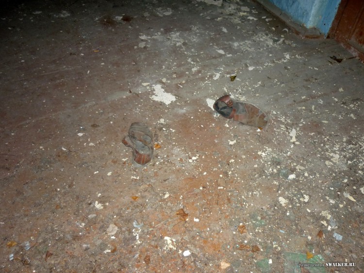 Пионерский лагерь ОГОНЁК,  Московская область