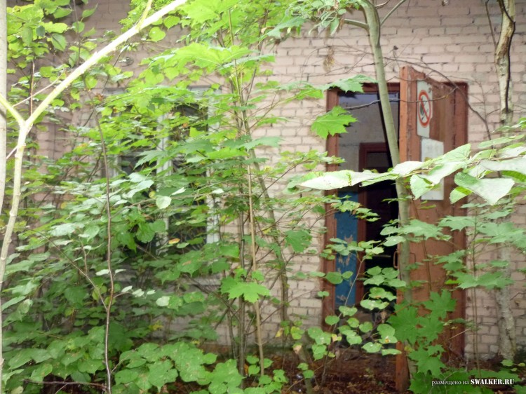 Пионерский лагерь ОГОНЁК,  Московская область