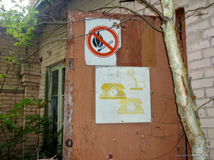 Пионерский лагерь ОГОНЁК,  Московская область