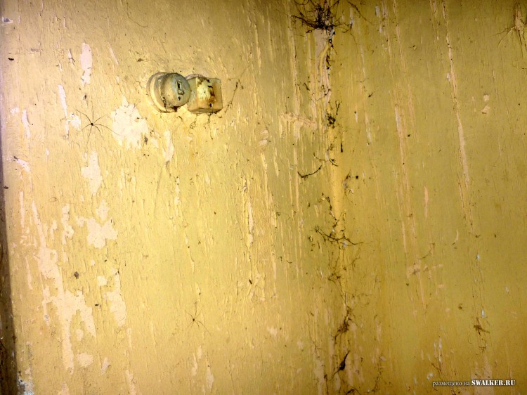 Пионерский лагерь ОГОНЁК,  Московская область