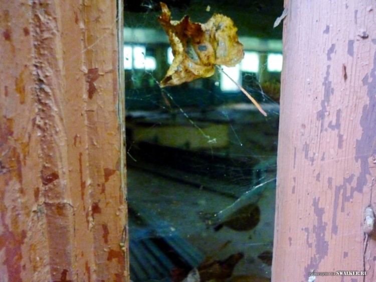 Пионерский лагерь ОГОНЁК,  Московская область