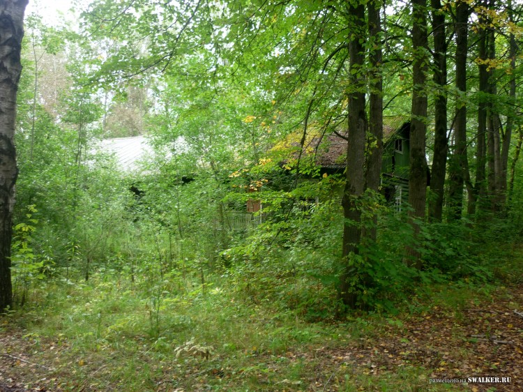 Пионерский лагерь ОГОНЁК,  Московская область