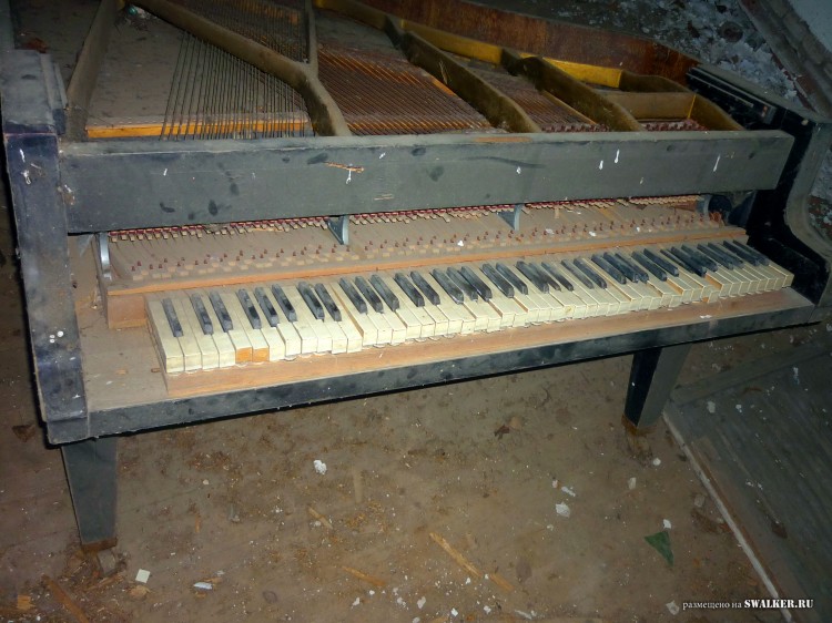 Пионерский лагерь ОГОНЁК,  Московская область