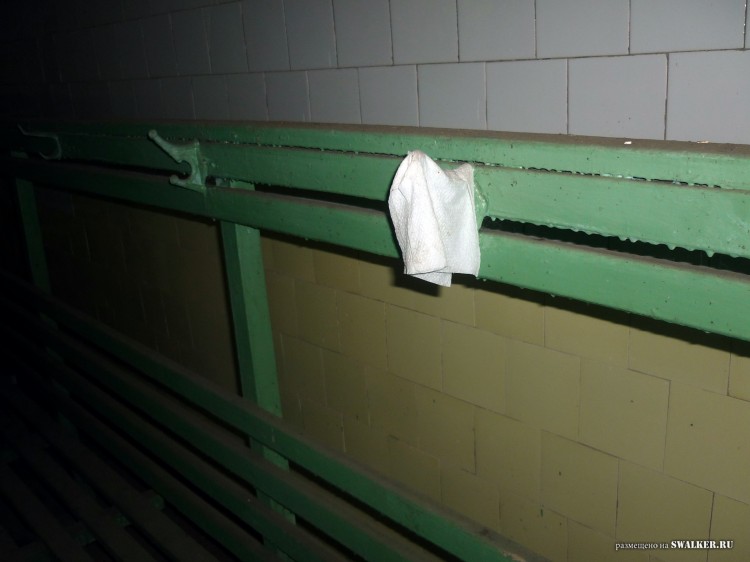 Пионерский лагерь ОГОНЁК,  Московская область