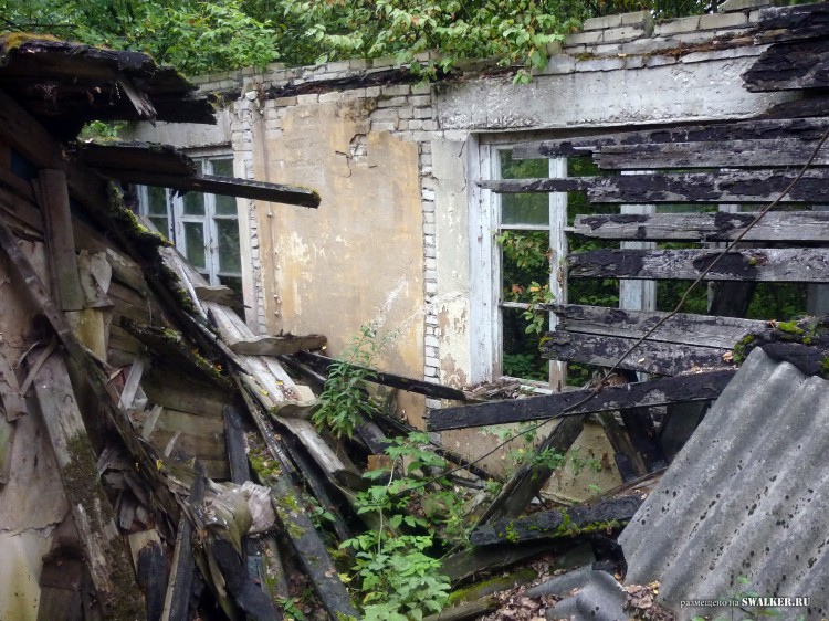 Пионерский лагерь ОГОНЁК,  Московская область