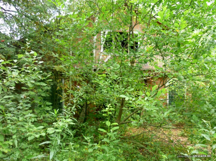 Пионерский лагерь ОГОНЁК,  Московская область