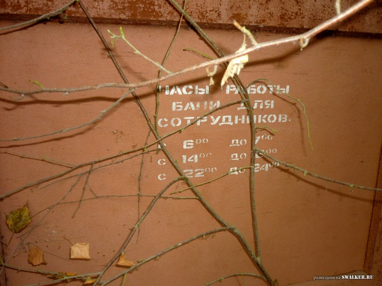 Пионерский лагерь ОГОНЁК,  Московская область