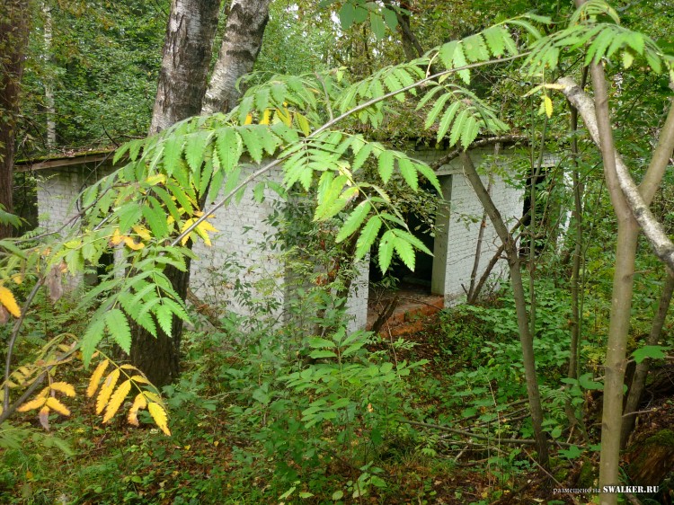 Пионерский лагерь ОГОНЁК,  Московская область