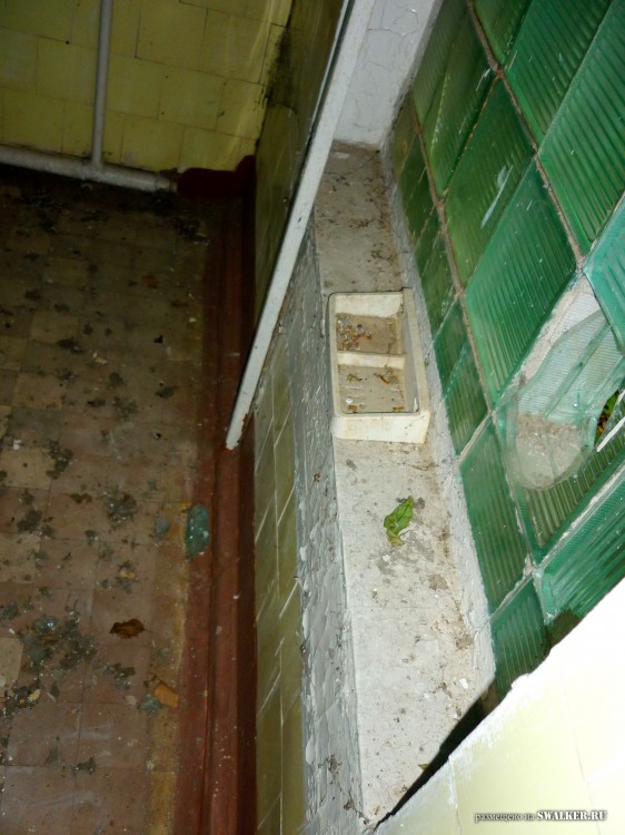 Пионерский лагерь ОГОНЁК,  Московская область