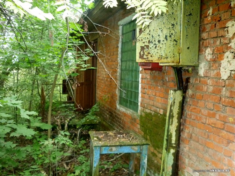 Пионерский лагерь ОГОНЁК,  Московская область