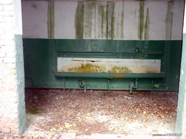 Пионерский лагерь ОГОНЁК,  Московская область