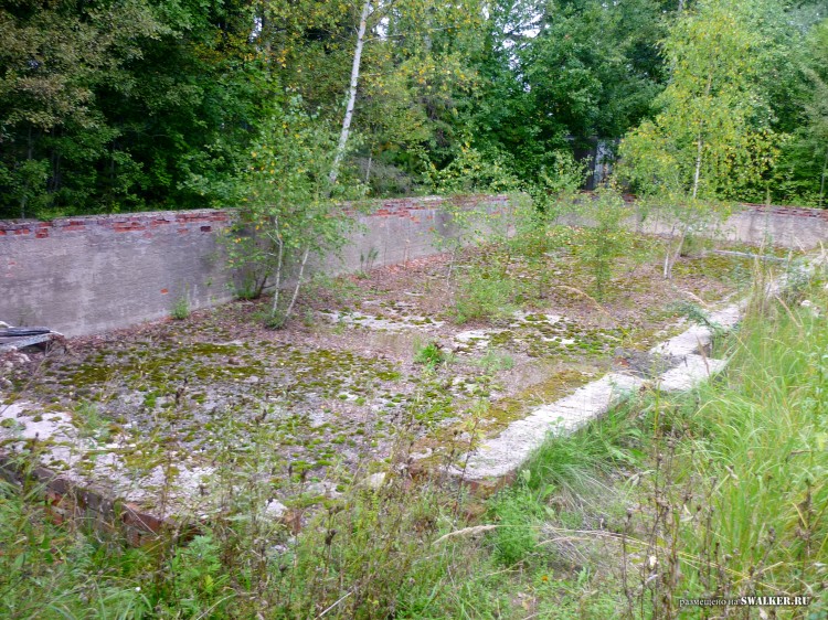 Пионерский лагерь ОГОНЁК,  Московская область