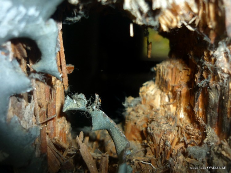 Пионерский лагерь ОГОНЁК,  Московская область