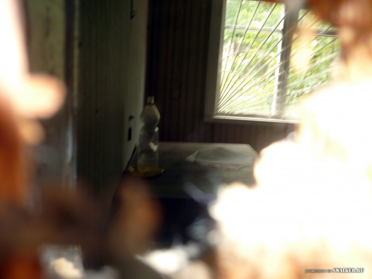 Пионерский лагерь ОГОНЁК,  Московская область