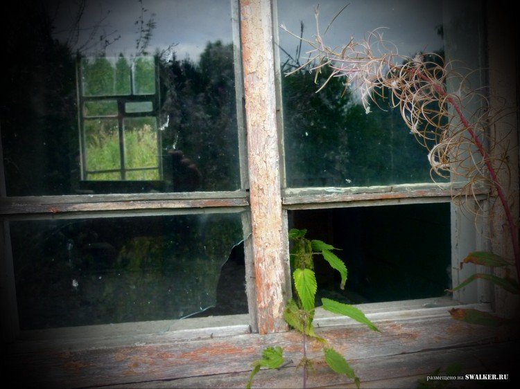 Пионерский лагерь ОГОНЁК,  Московская область