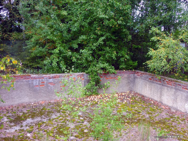 Пионерский лагерь ОГОНЁК,  Московская область