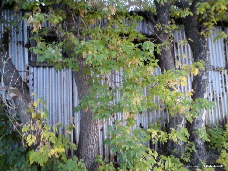 Производственная база, Самарская область