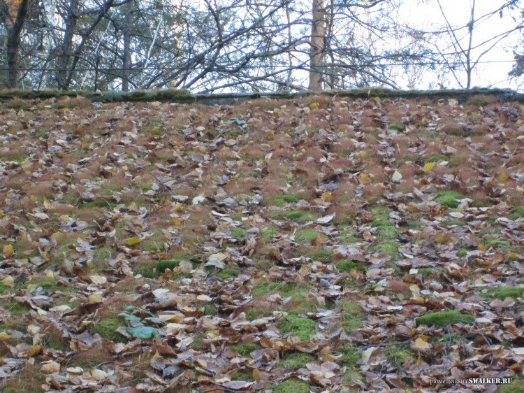 Заброшенные Детские дачи, Свердловская область