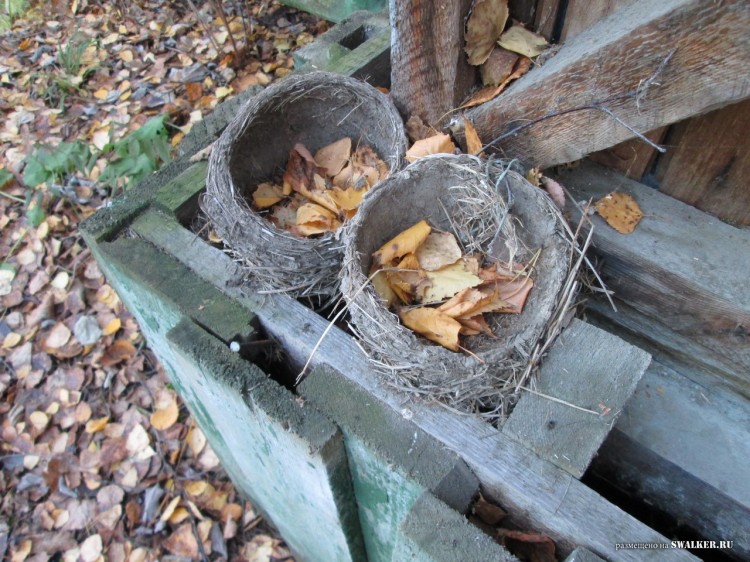 Заброшенные Детские дачи, Свердловская область