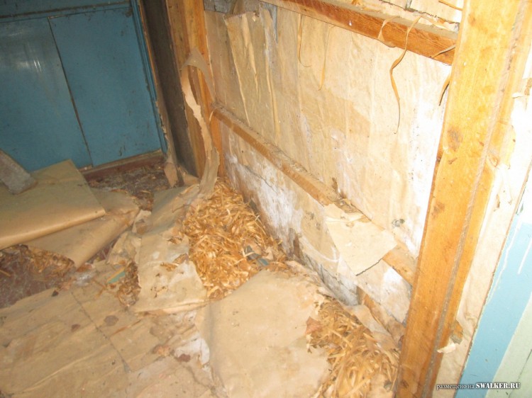 Заброшенные Детские дачи, Свердловская область