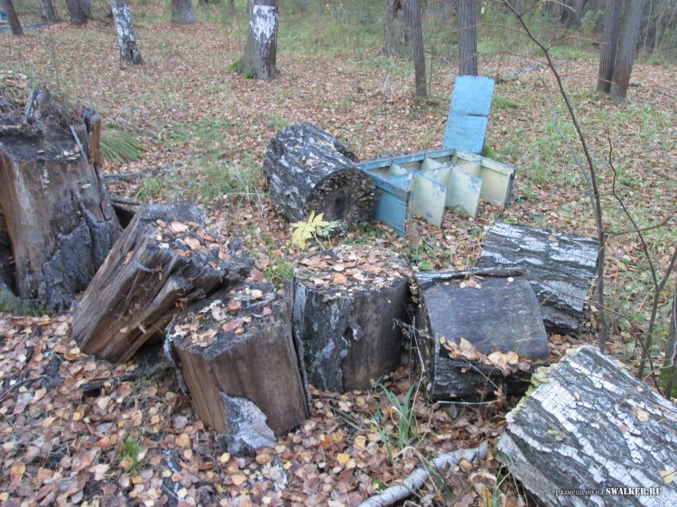 Заброшенные Детские дачи, Свердловская область