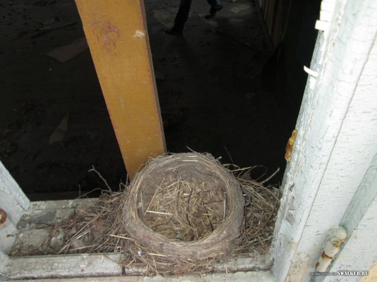 Заброшенные Детские дачи, Свердловская область