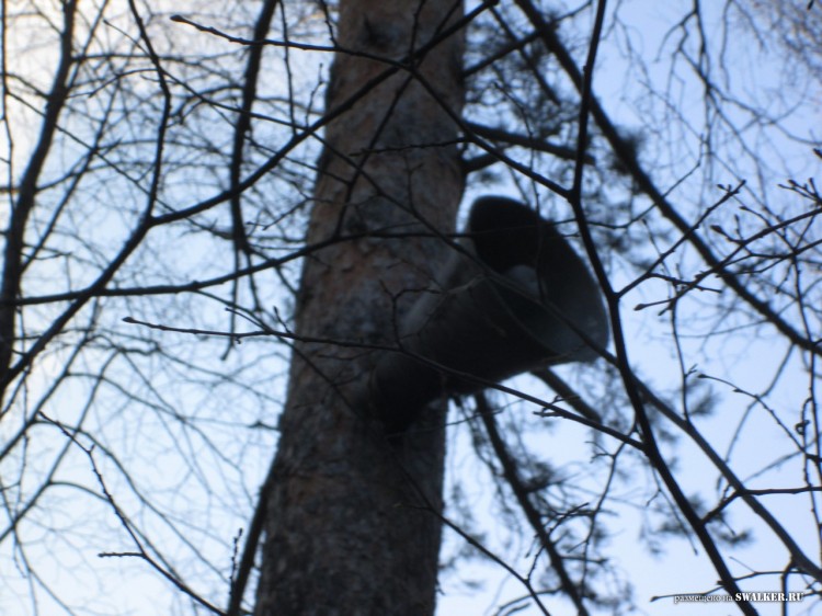 Заброшенные Детские дачи, Свердловская область