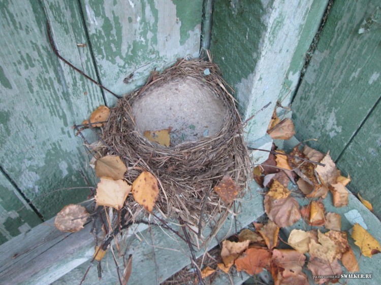 Заброшенные Детские дачи, Свердловская область