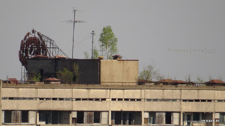 Припять - природа берет свое