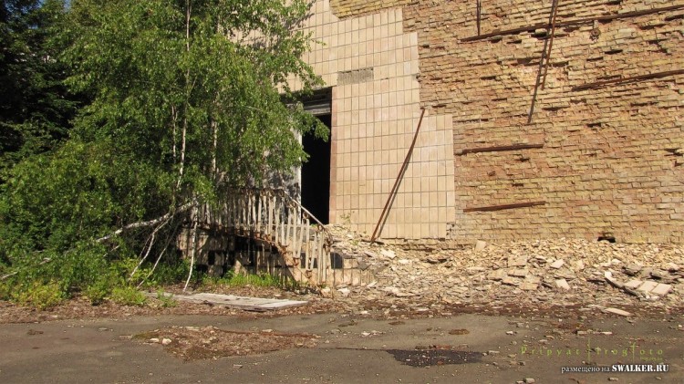 Припять - природа берет свое