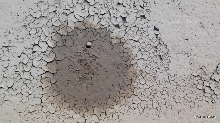 Чернобыльская зона отчуждения