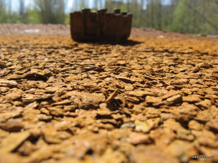 Чернобыльская зона отчуждения