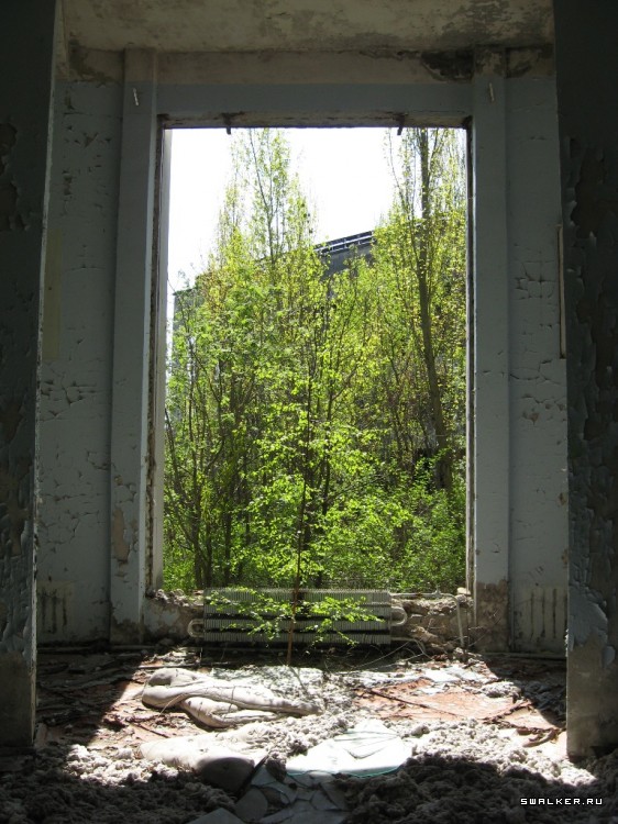 Чернобыльская зона отчуждения