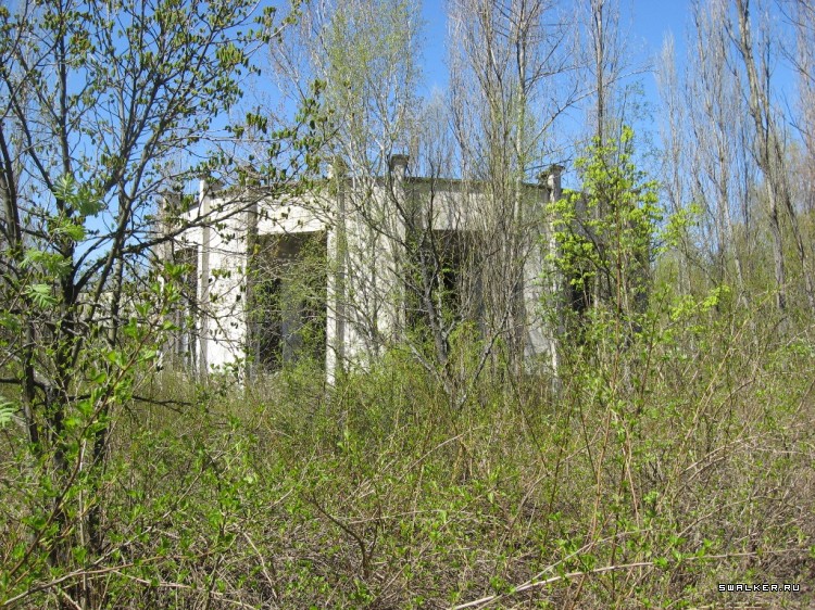 Чернобыльская зона отчуждения