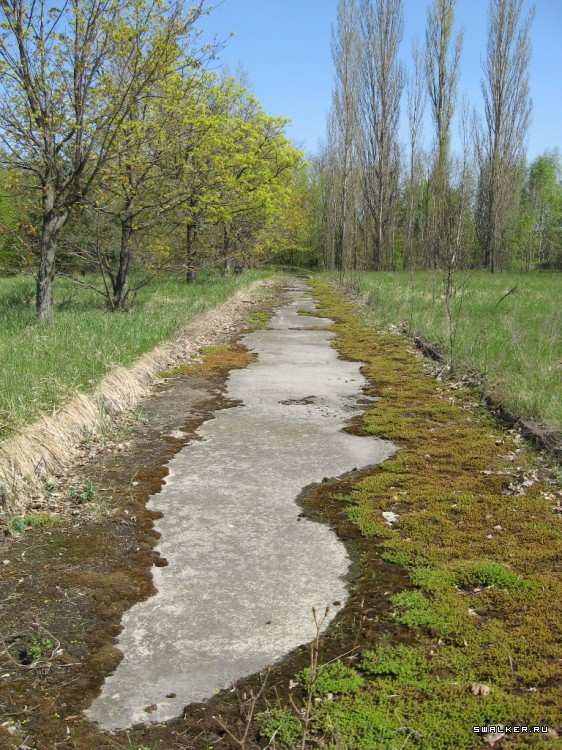 Чернобыльская зона отчуждения