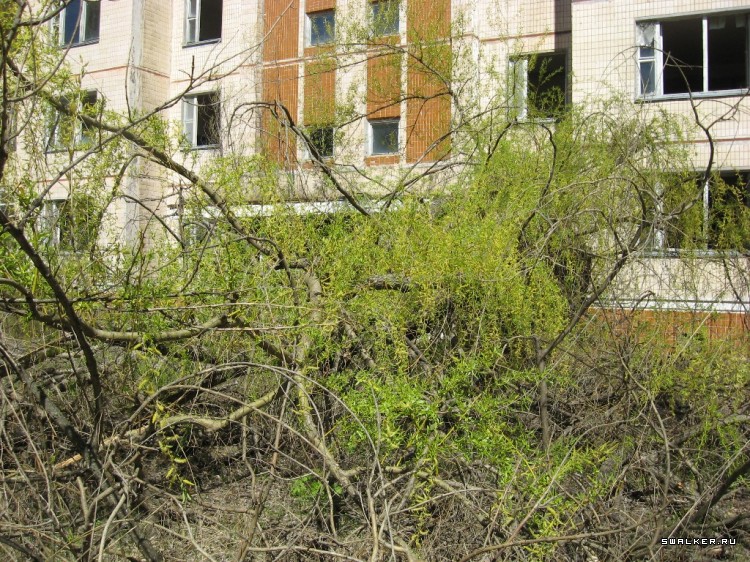 Чернобыльская зона отчуждения