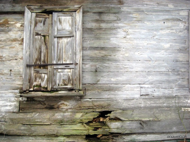 Чернобыльская зона отчуждения