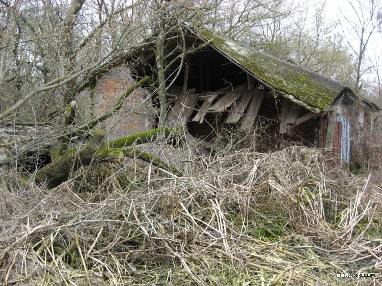 Чернобыльская зона отчуждения