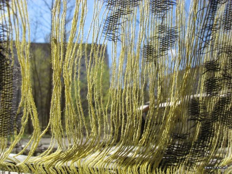 Чернобыльская зона отчуждения