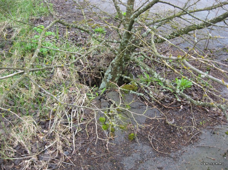 Чернобыльская зона отчуждения