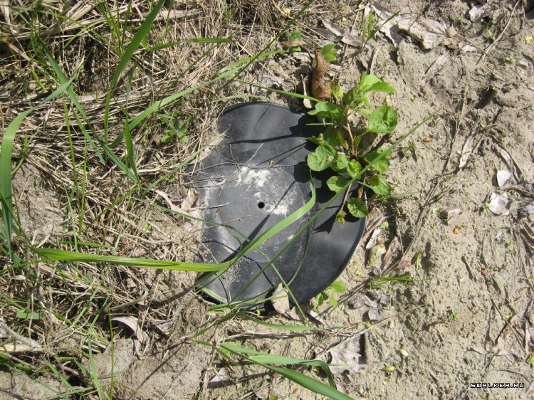 Чернобыльская зона отчуждения