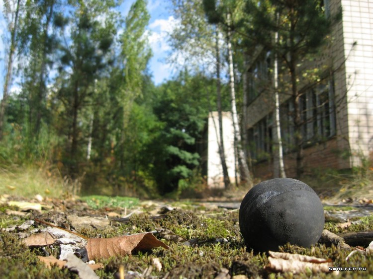 Чернобыльская зона отчуждения