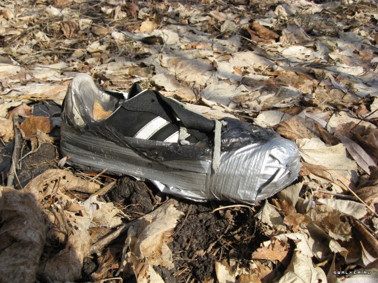 Чернобыльская зона отчуждения