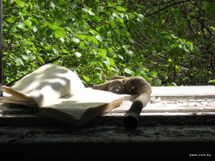 Чернобыльская зона отчуждения