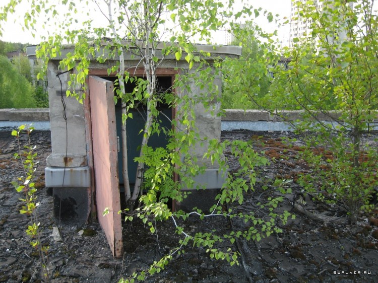 Чернобыльская зона отчуждения