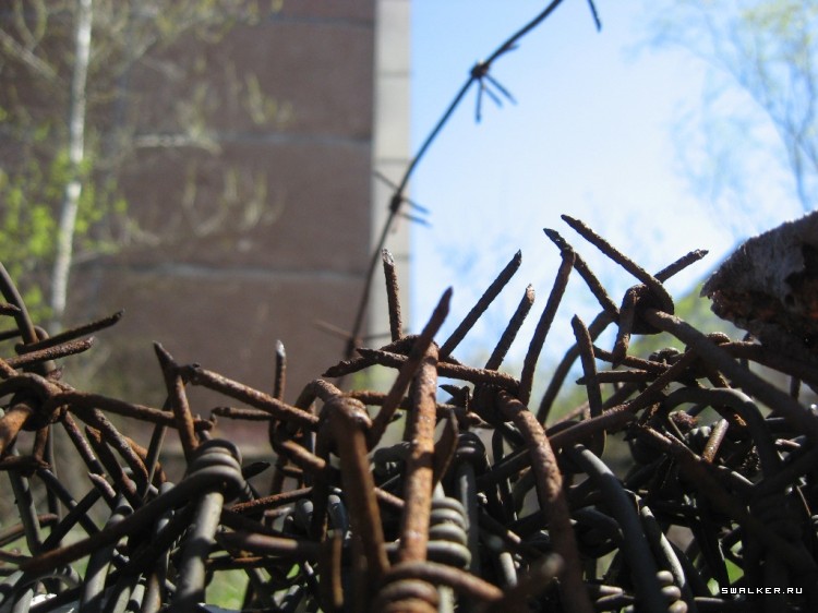 Чернобыльская зона отчуждения