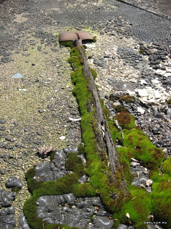 Чернобыльская зона отчуждения