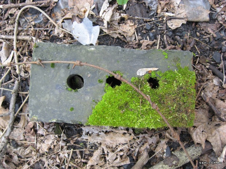 Чернобыльская зона отчуждения